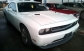 Dodge Challenger SRT8 2012 24600 EUR Купе Бензин