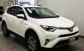 Toyota Rav 4 2016 29100 EUR Кросовер Гибридный