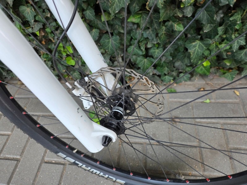 Scott  scale Pro, 2020 - 8