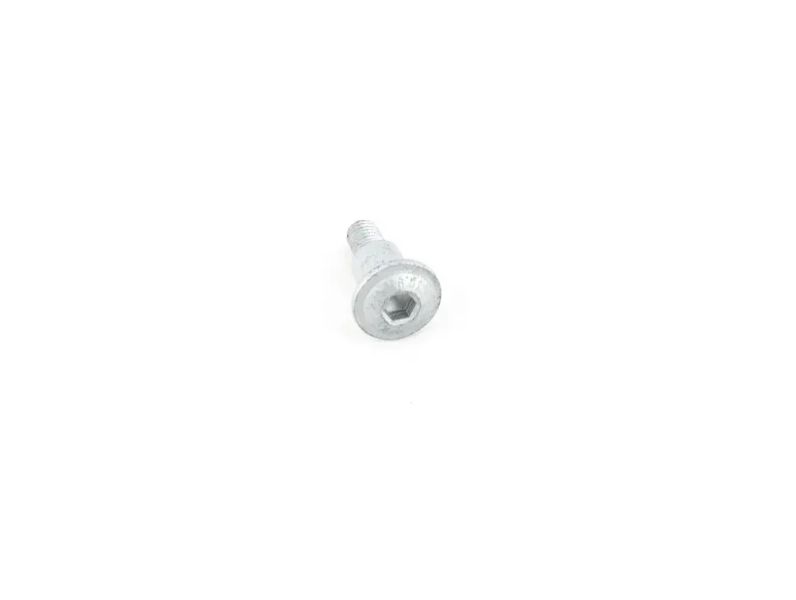 07149115235 BMW F10 F01 болт линзы с кольцом, 2020