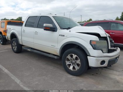 2013 FORD F-150 FX4