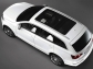 Женевский автосалон 2008: Audi Q7 V12 TDI