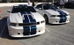 2013 Shelby GT350