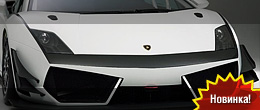 Reiter Engineering Lamborghini Gallardo LP600+ GT3 Reiter Engineering Lamborghini Gallardo LP600+ GT3