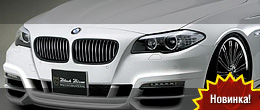 Black Bison для Mercedes CLS и BMW 5-Series