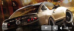 Need for Speed: The Run