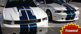 2013 Shelby GT350