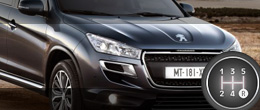 Дитя шаблона Peugeot 4008
