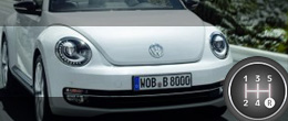 Beetlus Masculinus VW Beetle