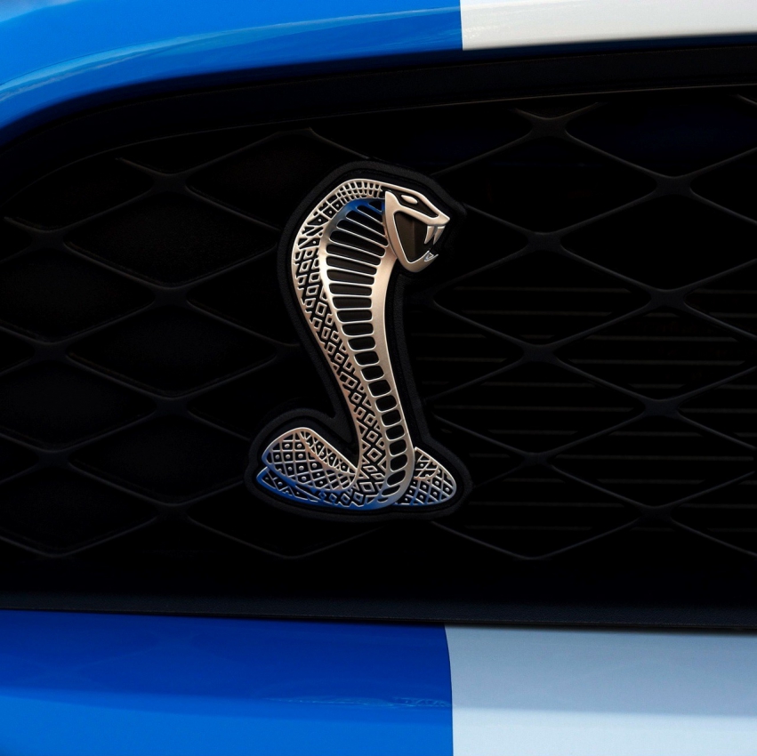 Auto wallpapers Ford Ford Shelby GT500 Mustang 2010