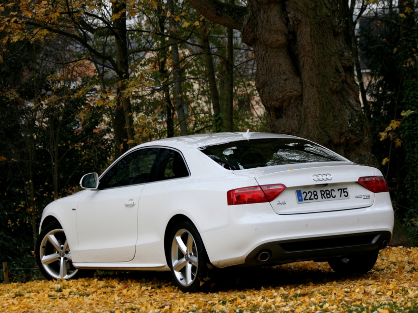 Auto wallpapers Audi A5 Coupe